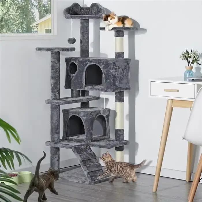 Grande maison pour chatons et chats