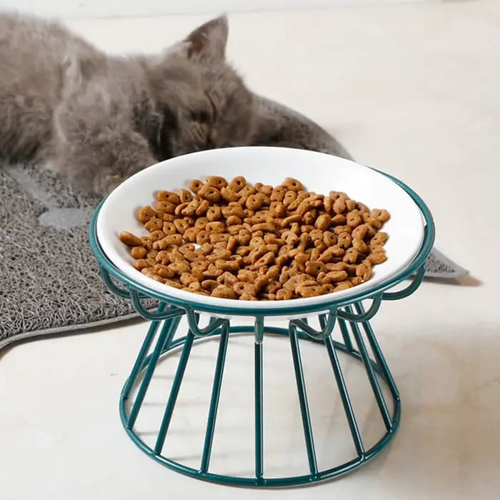 Bols en céramique surélevés et larges pour chats