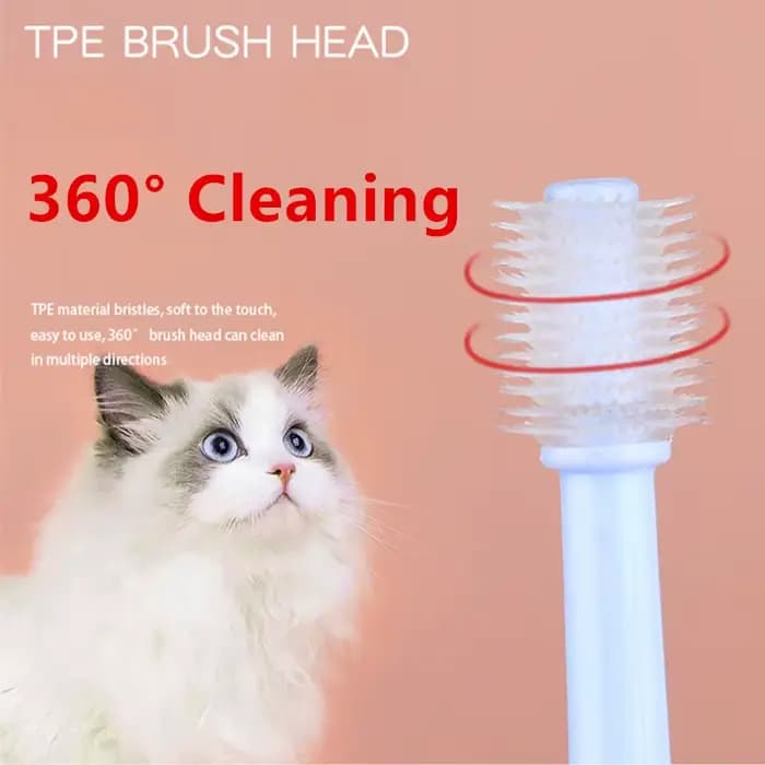 Brosse à dents pour chat