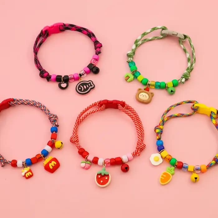 Collier pour chat et chien avec collier tressé assorti