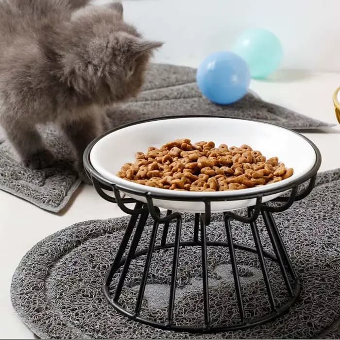 Grand mangeoire surélevée pour chat