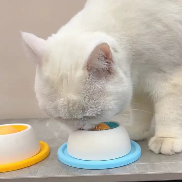 Jouet interactif pour chien et chat