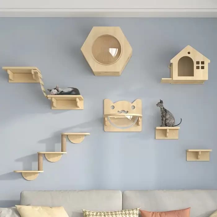 Ensemble d'escalade murale en bois pour chat