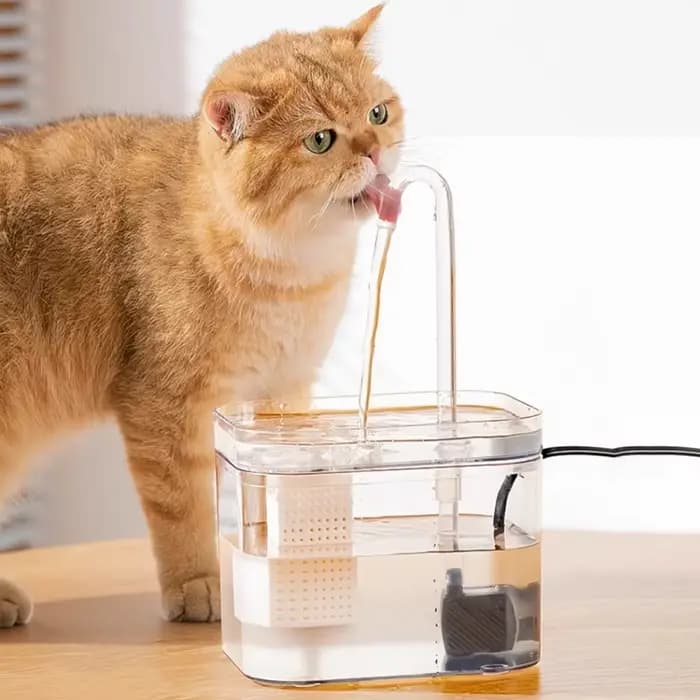 Fontaine à boire transparente pour chat