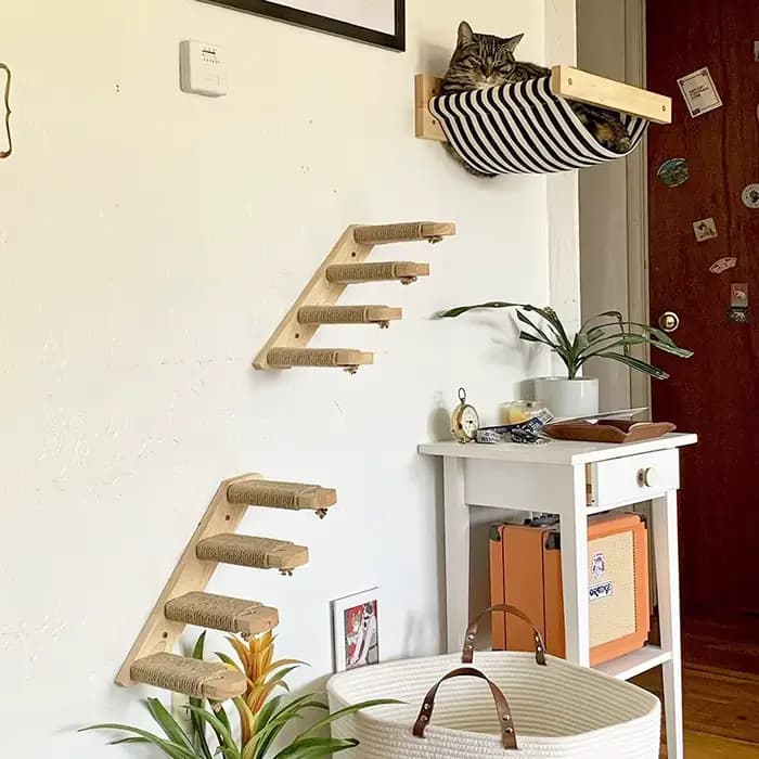 Étagère d'escalade murale pour chat