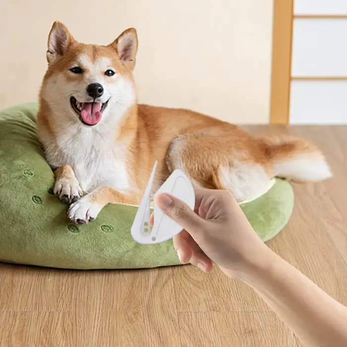 Brosse démêlante pour chat et chien
