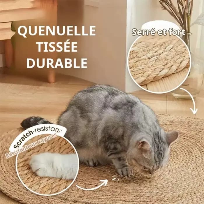 Tapis à litière pour chat résistant à l'usure