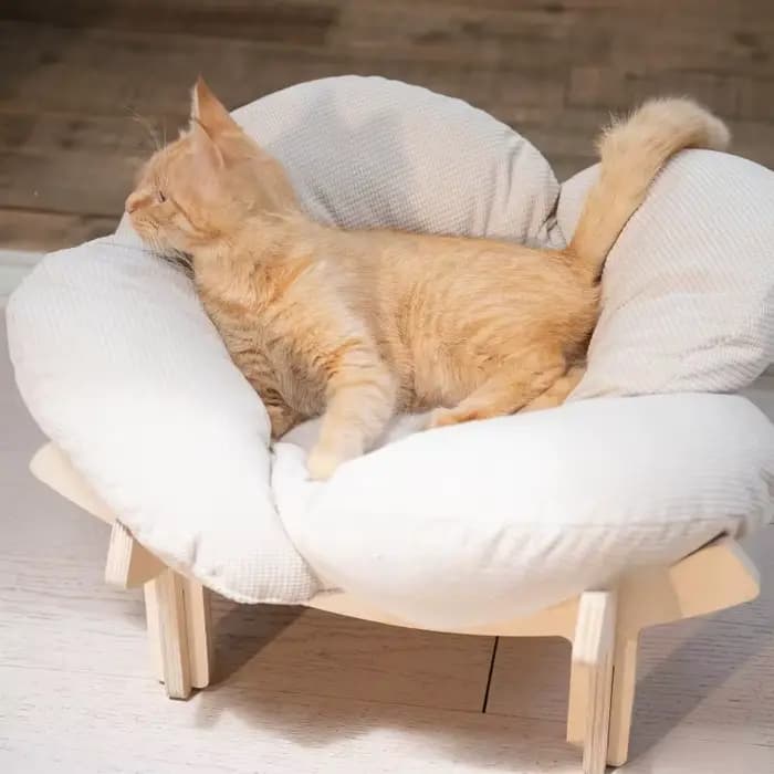 Lit pour chat en bois, petit canapé pour animaux de compagnie d'intérieur