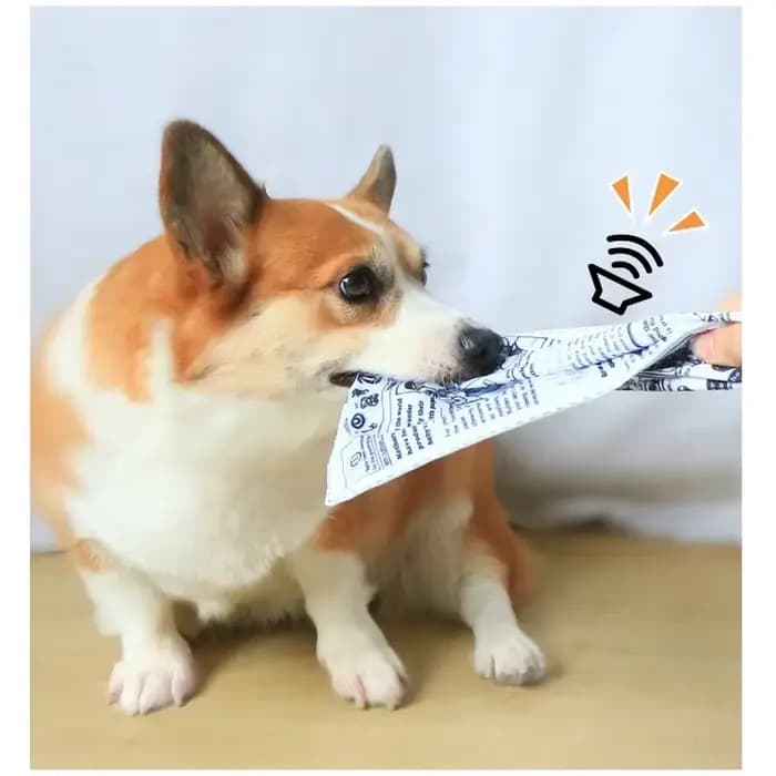 Jouets pour chiens en papier résistant aux morsures