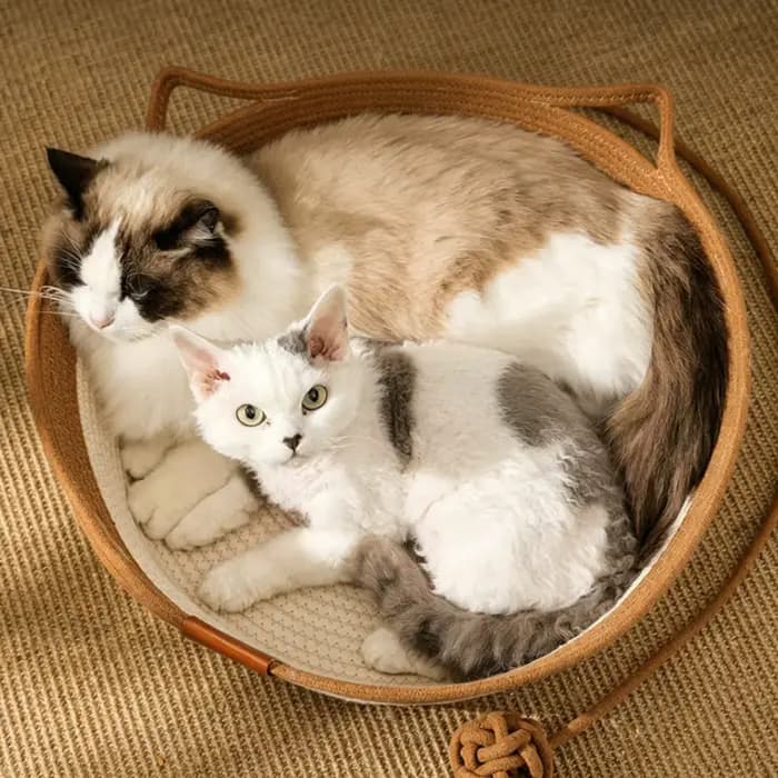 Panier Instinct pour chats en corde de coton tressée à la main