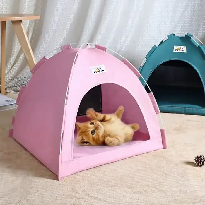 Maison de sommeil pour animaux de compagnie