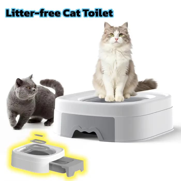 Toilette pour chat sans dégâts