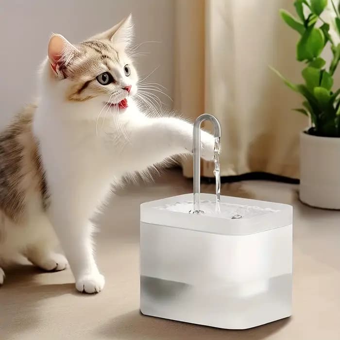Fontaine à eau automatique 1