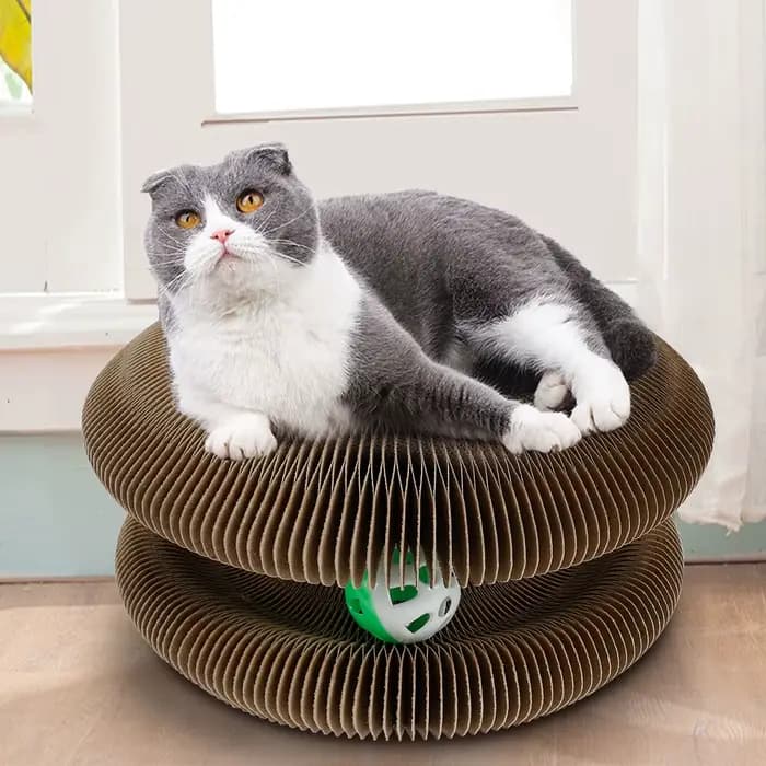 Nouveaux accessoires interactifs personnalisables de cages de jouets de chat 2025