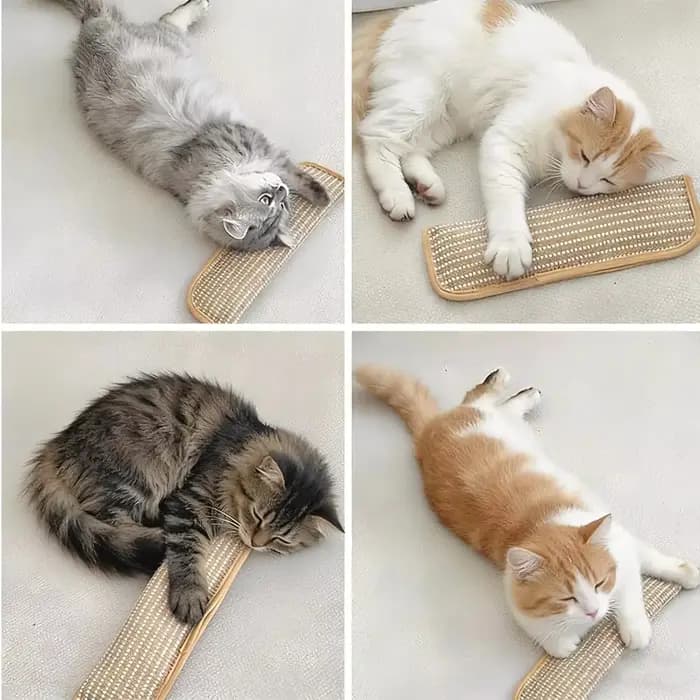 Jouet pour chat, jouet à mâcher interactif à la catnip