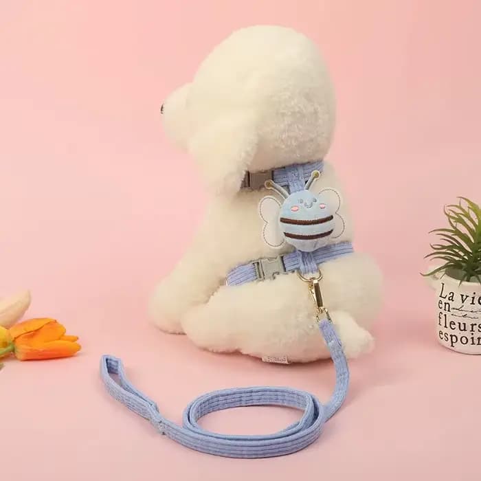 Ensemble harnais et laisse anti-fuite pour chat