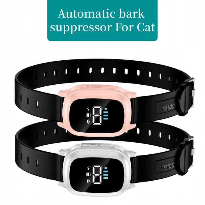 Collier d'entraînement automatique pour chat adapté aux chats et aux chatons