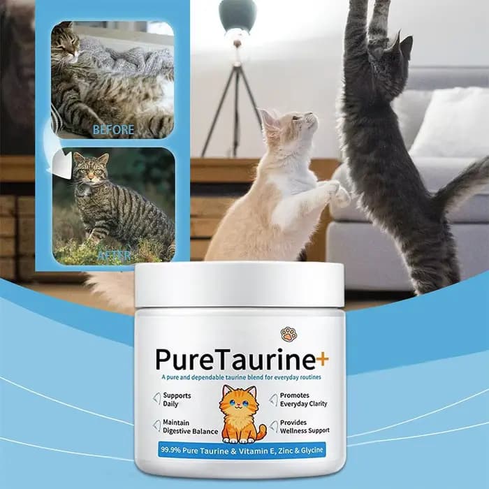 Taurine pour chats 200g – Complément en poudre pour soutenir la santé cardiaque et assurer une alimentation quotidienne