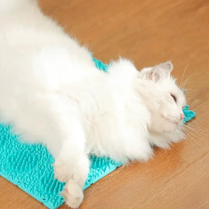 Tapis de massage et grattoir auto-nettoyant pour chat 24x18cm en caoutchouc TPR, brosse anti-démangeaisons pour animaux, jouet de massage pour chat, outil de toilettage et de grattage pour animaux