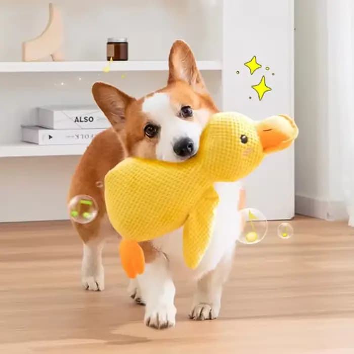 Jouet en peluche pour animaux de compagnie