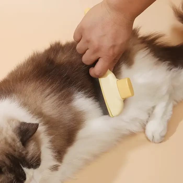 Brosse pour chat à poils courts et longs
