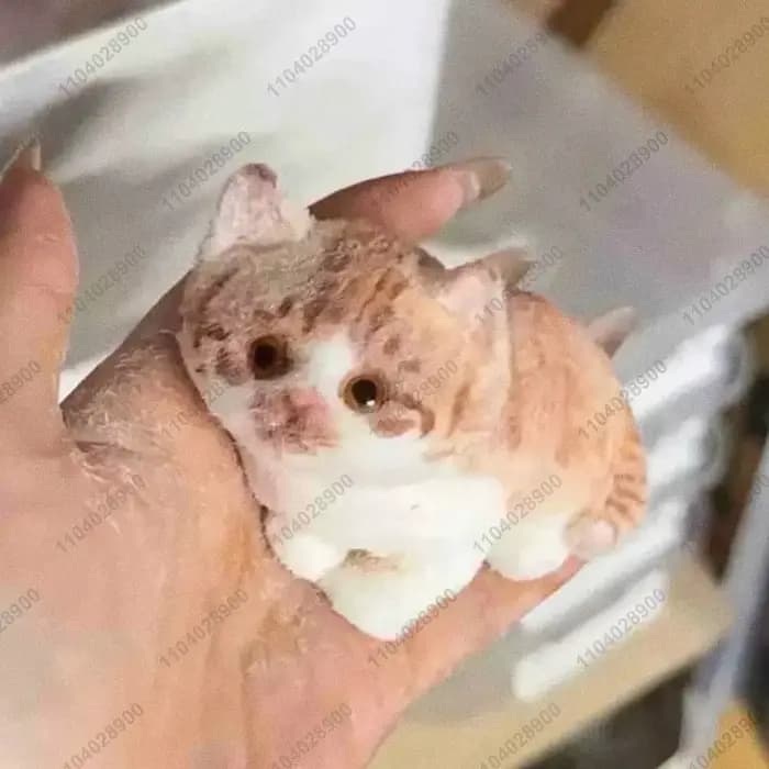 Gros Kitty chat Taba Squishy Silicone fait à la main flou