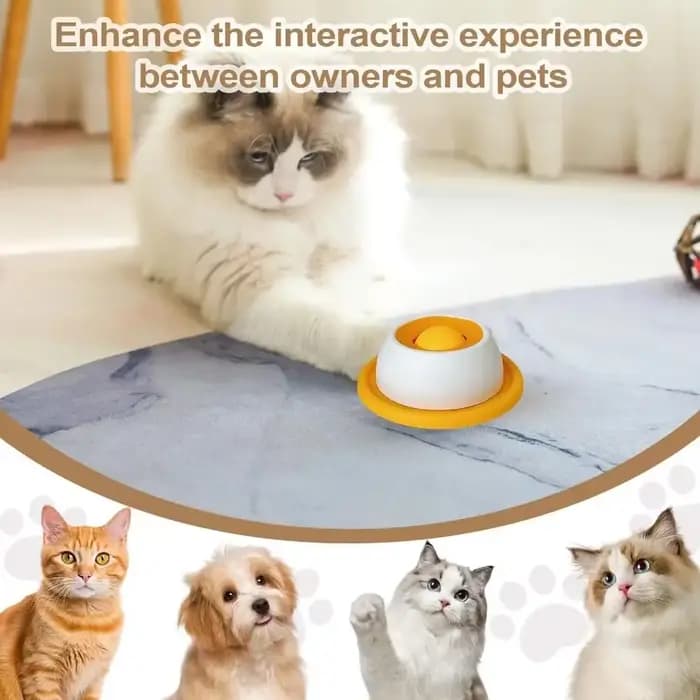 Accessoires d'alimentation pour animaux de compagnie