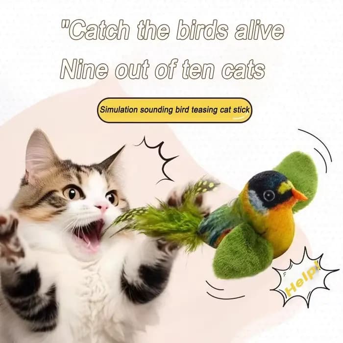 Jouet interactif d'intérieur pour chat, oiseaux sonores avec herbe à chat, pour la poursuite et le chatouillage, jouet mural auto-amusant pour chat