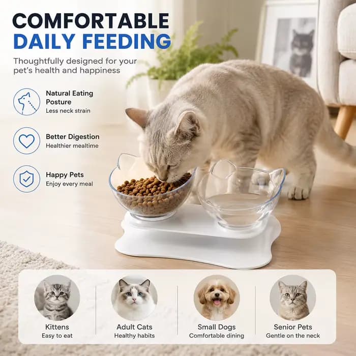 Double gamelle pour chat 15 ° Mangeoire surélevée inclinée pour animaux de compagnie avec support