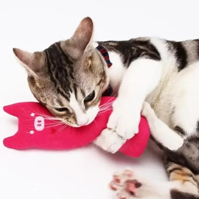 Jouet interactif en peluche à la menthe pour chats, amusant, vocal, pour la dentition, avec griffes, accessoire de jeu pour chatons