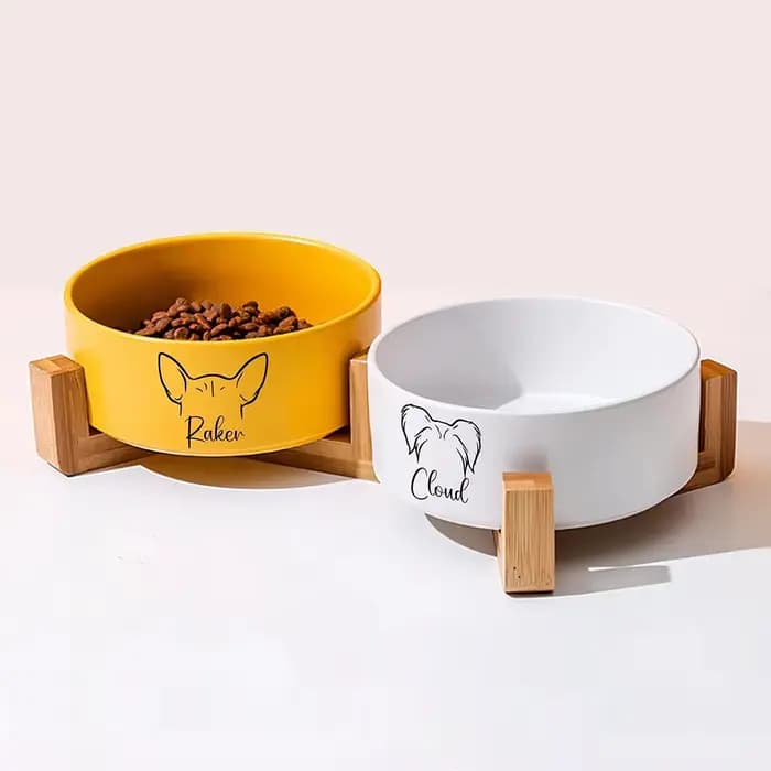 Bol en céramique personnalisé pour animaux de compagnie avec support en bois