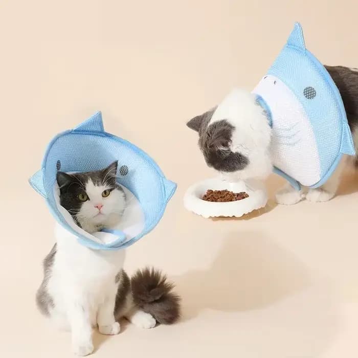 Collier cône pour chat