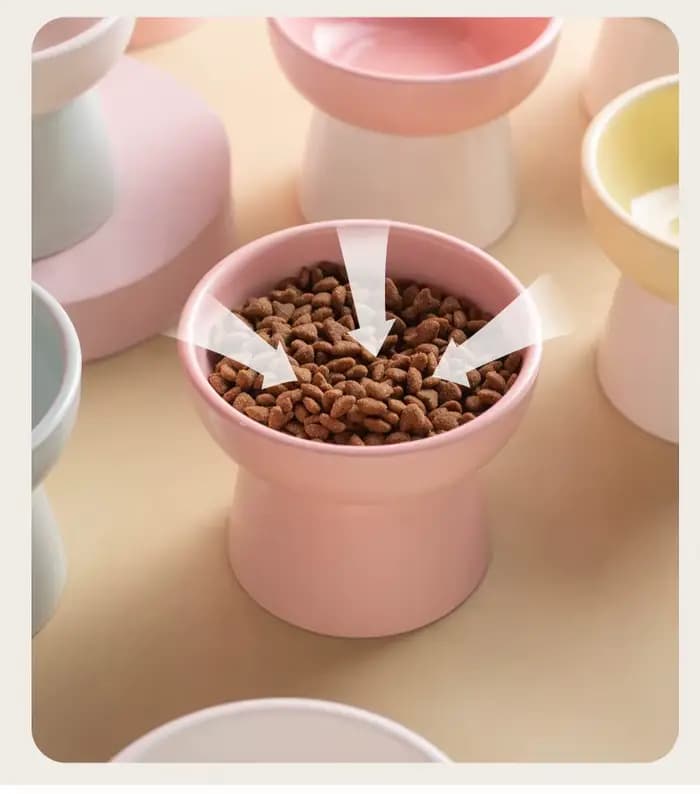 1 bol pour chat, bol pour nourriture pour chat