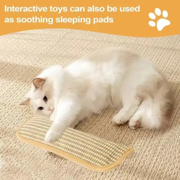 Jouets interactifs pour chat