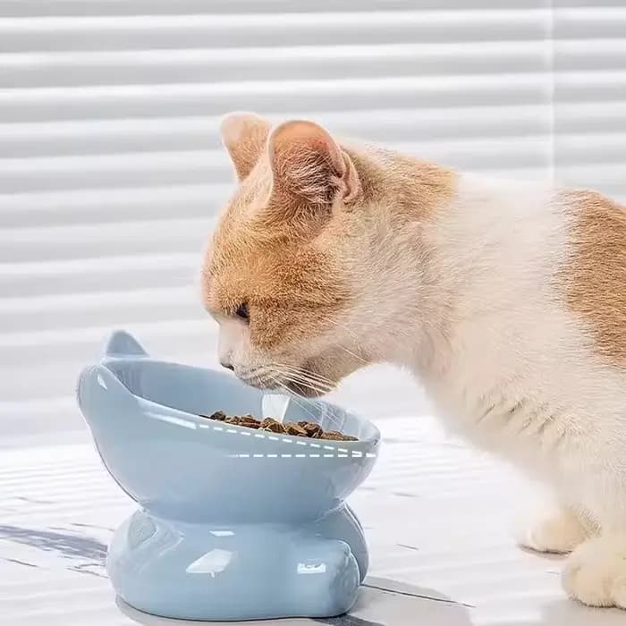 Bol en céramique mignon pour chat avec pieds surélevés
