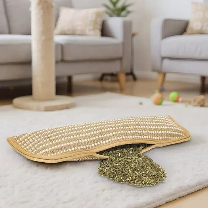 Jouets interactifs pour chat : Griffoir