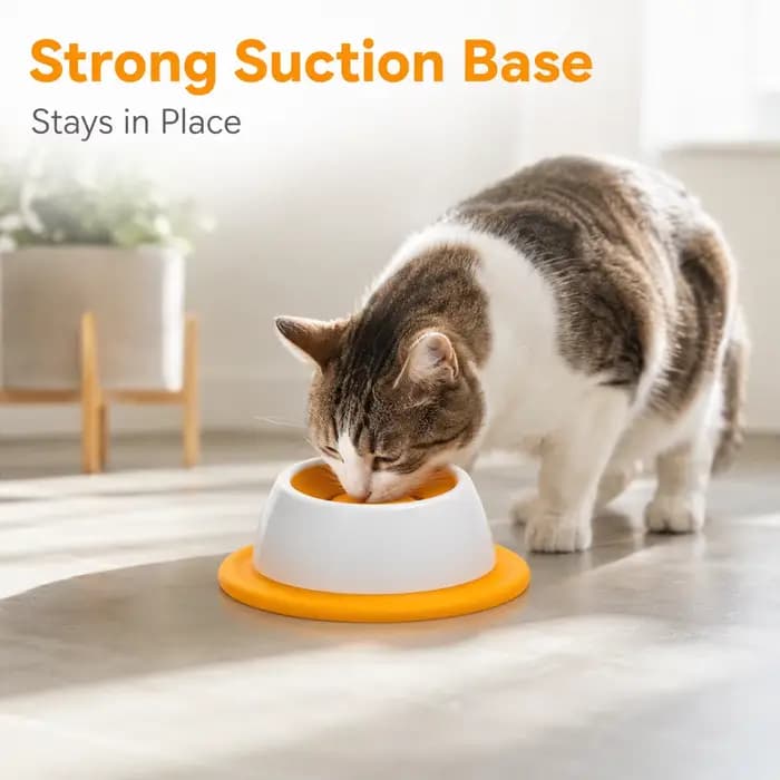 Gamelle interactive pour chat à alimentation lente avec base à ventouse