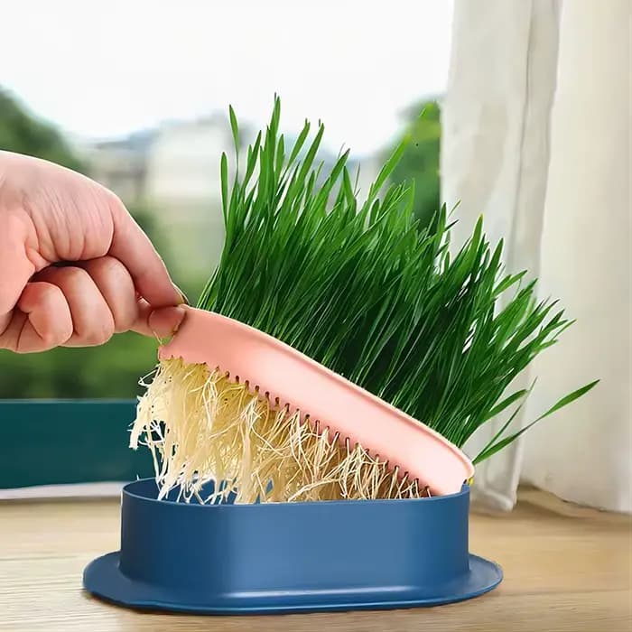 Plat de germe pour chat de compagnie, Pot de culture pour plantes hydroponiques, Pot d'herbe, boîte de Germination, plat de démarrage pour pépinière, boîte de culture en serre