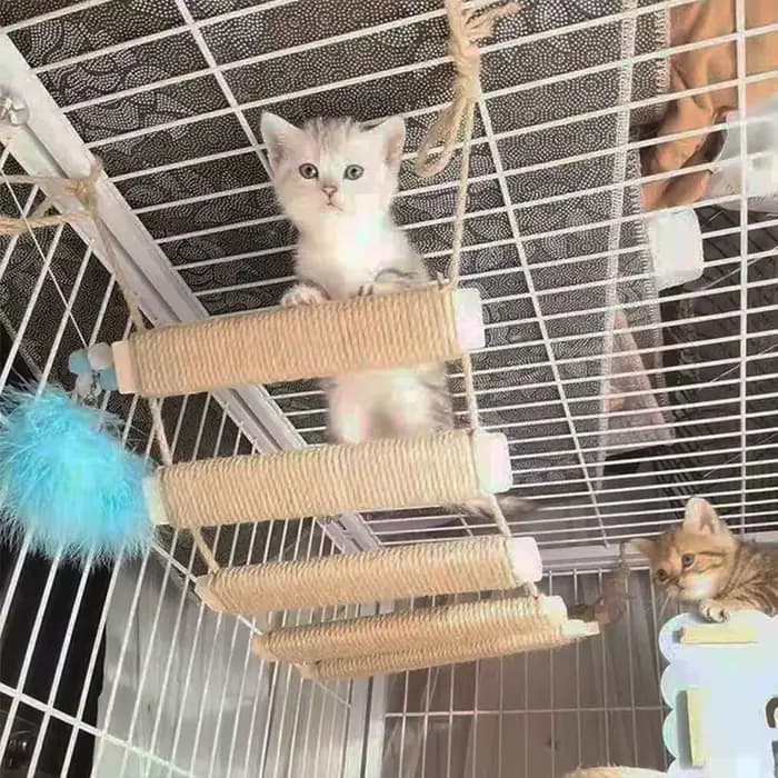 Structure d'escalade pour chat avec pont