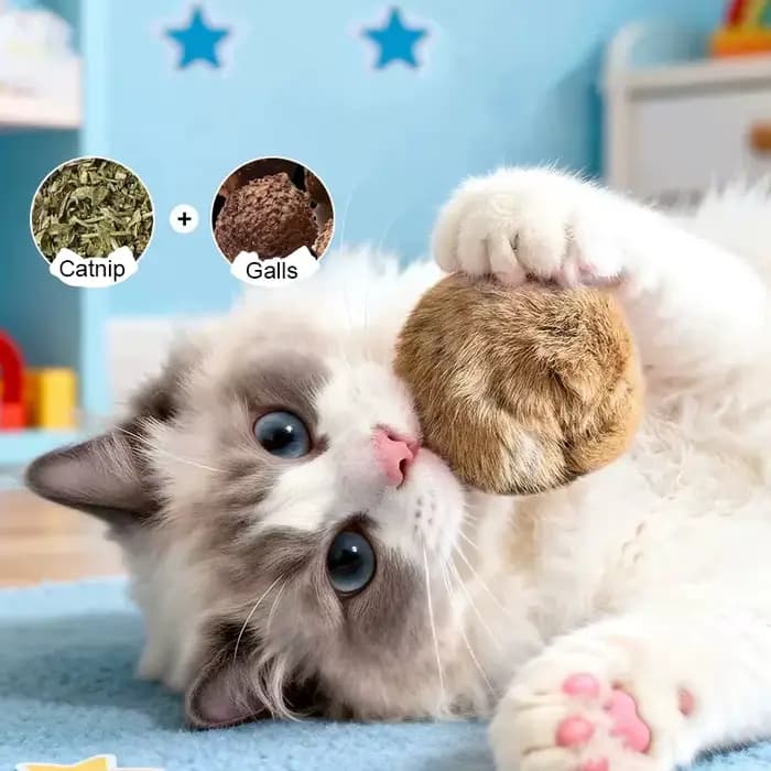 Jouet pour chat : Boule de fourrure de lapin véritable
