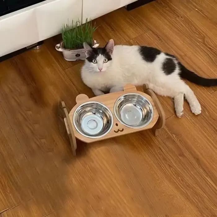 Mangeoire pour animaux de compagnie Double bol de nourriture pour chat avec conception Anti-coups récipient