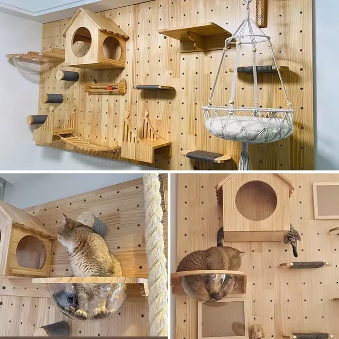 Produit pour animaux de compagnie : Arbre à chat, Tour à chat, Meubles, Condo, Maison, Perchoirs, Étagères murales, Étagères murales d'escalade pour chats