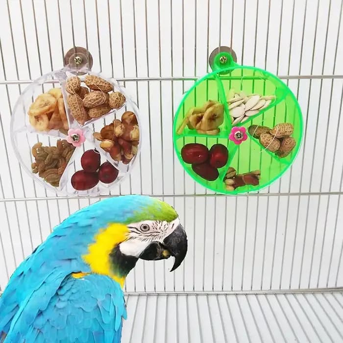 Jouets pour perroquets rotatifs pour animaux de compagnie