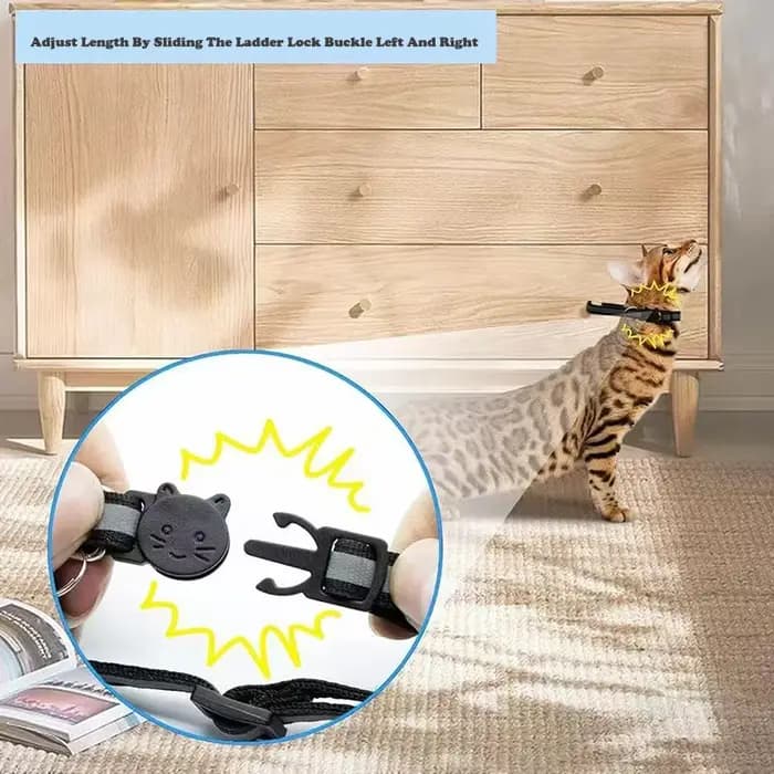 Collier réfléchissant coloré pour chat