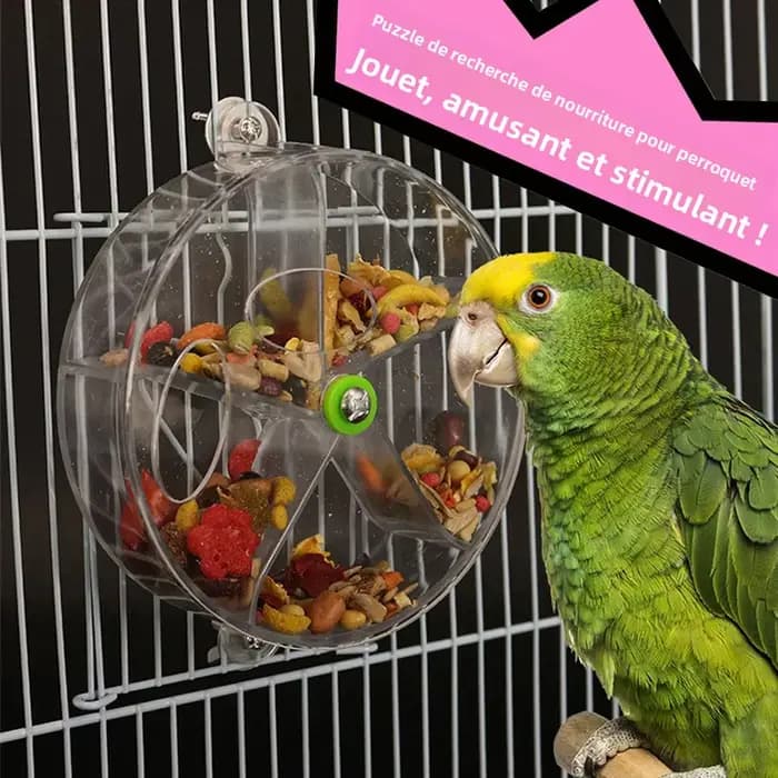 Jouets pour perroquets rotatifs pour animaux de compagnie