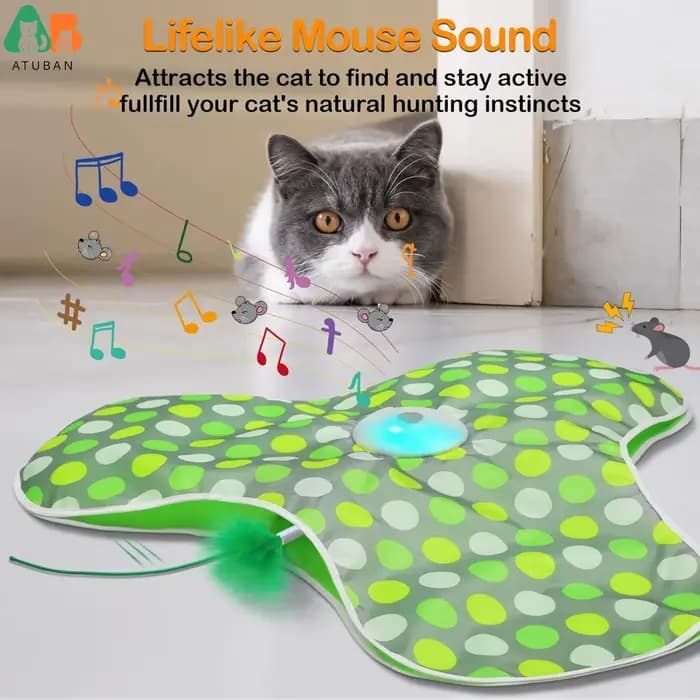 Jouets interactifs pour chat rechargeables
