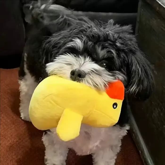 Ensemble de 7/10 pièces de jouets sonores pour chiots, à mâcher en peluche pour animaux de compagnie, collations aux fruits et légumes, jouets pour chiots, adaptés aux jeux mignons