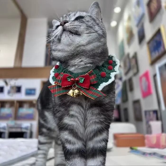 Collier à nœud papillon en laine au crochet pour chat mignon