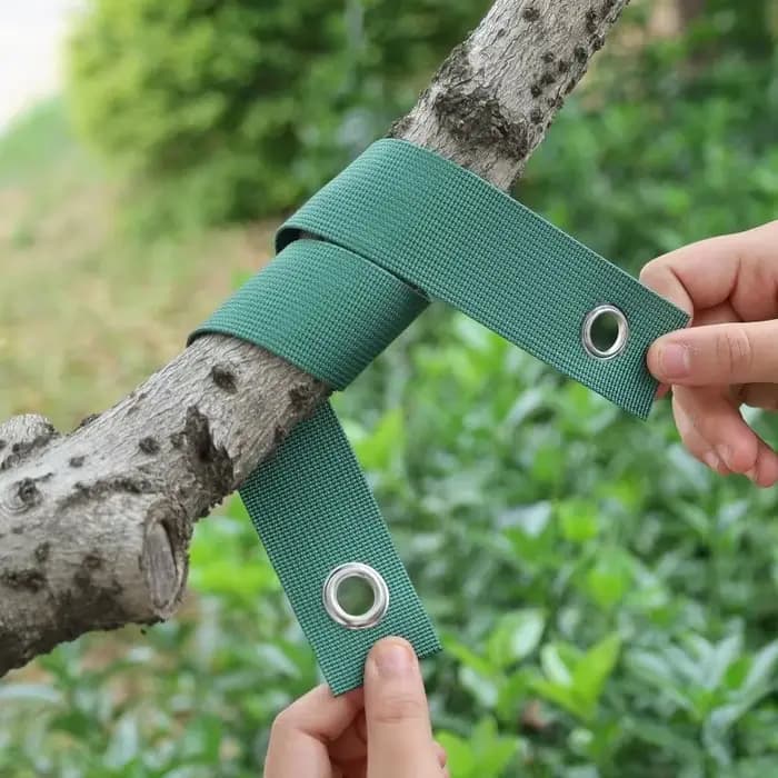 Sangles de support d'arbres (20/1 pièce) – Fixation des branches, protection anti-vent, outils de redressement, ceinture en nylon pour plantes, accessoires de jardin