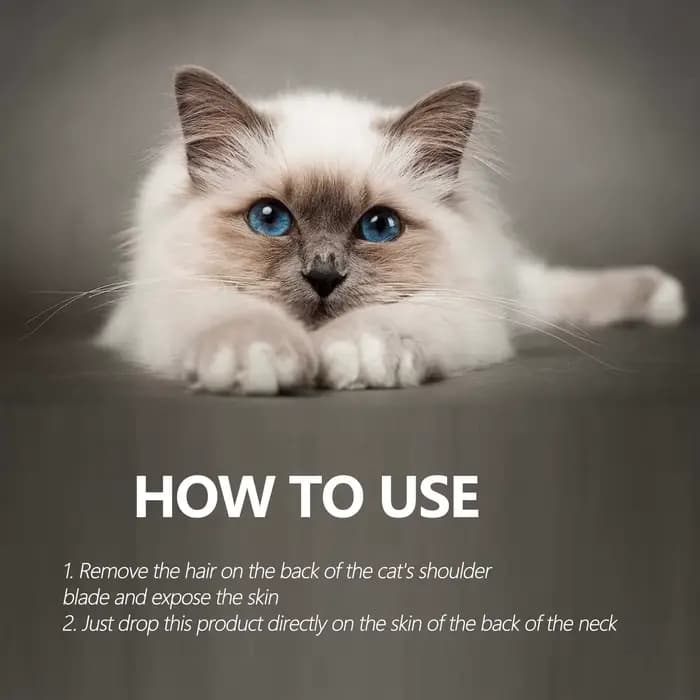 Gouttes anti-puces haut de gamme pour animaux de compagnie 60 ml – Contre les puces